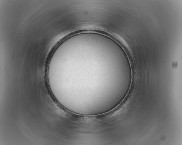 X0000091990831200709201445