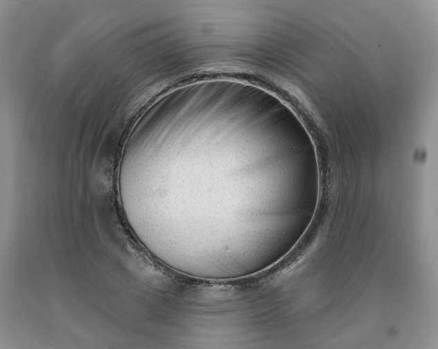 X0000091990833200709201445