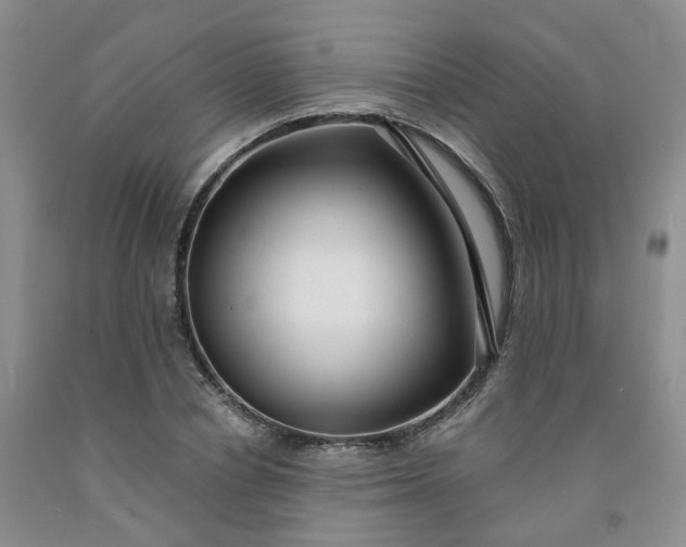 X0000091990834200709201445