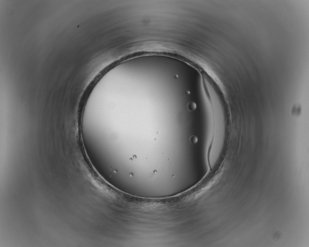 X0000091990837200709201446