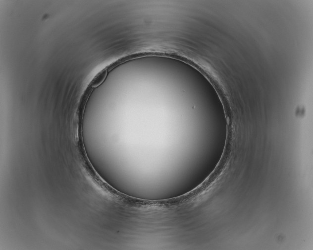X0000091990838200709201446