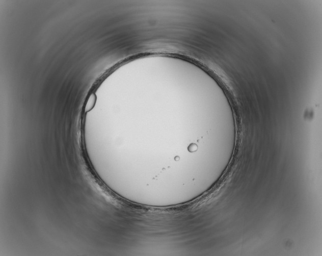 X0000091990840200709201446