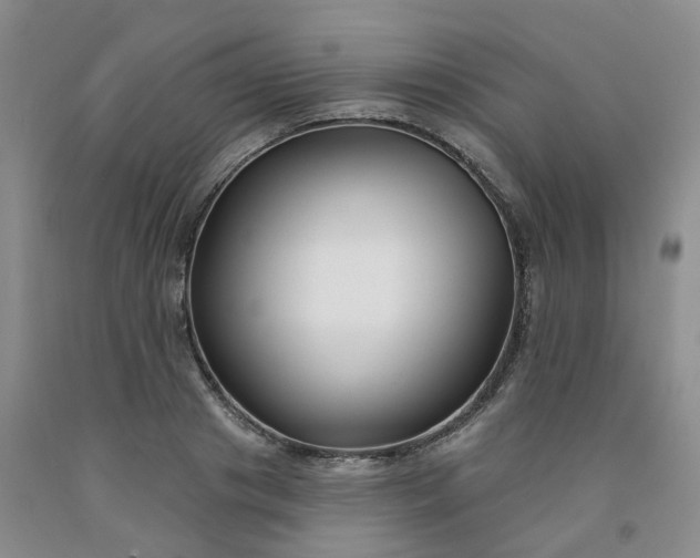 X0000091990841200709201446