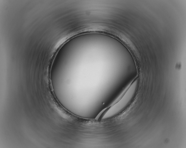 X0000091990842200709201446