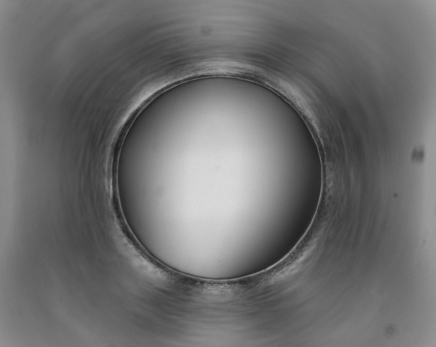 X0000091990843200709201446