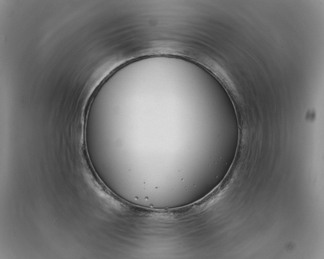 X0000091990844200709201446