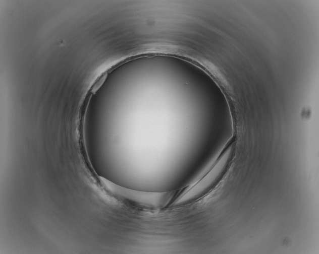 X0000091990846200709201446