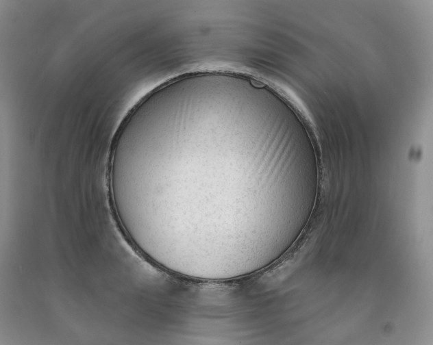 X0000091990847200709201446