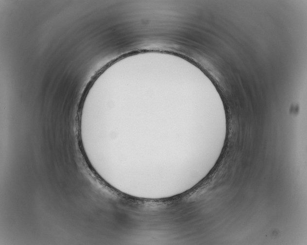 X0000091990848200709201446