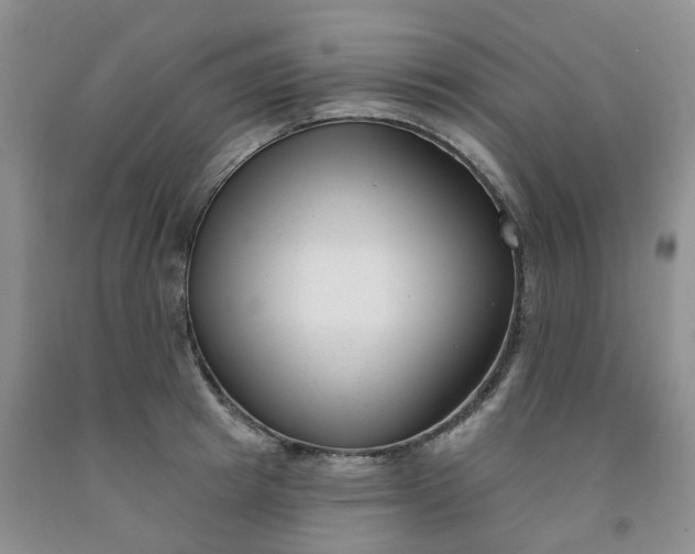 X0000091990849200709201446