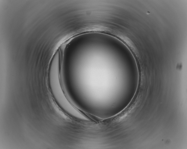 X0000091990850200709201446