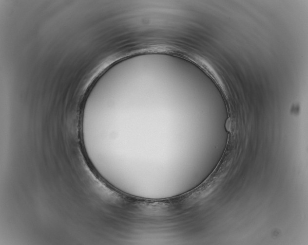 X0000091990851200709201446