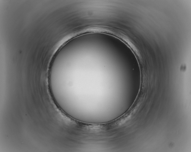 X0000091990853200709201446
