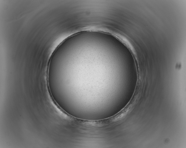 X0000091990855200709201446