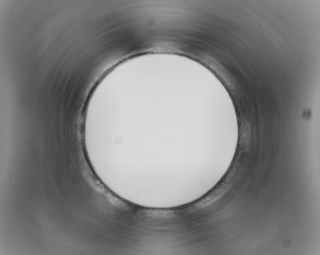 X0000091990856200709201446