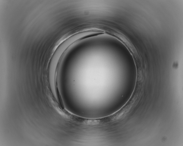X0000091990858200709201446