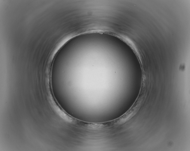 X0000091990859200709201446