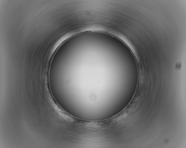 X0000091990861200709201446