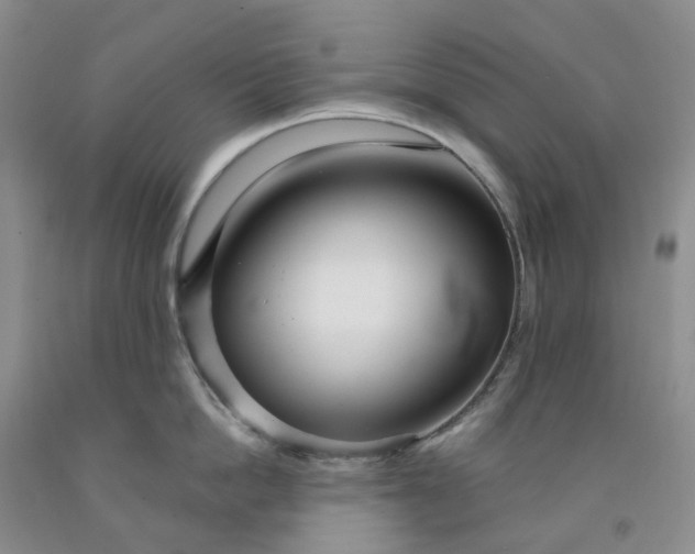X0000091990862200709201446