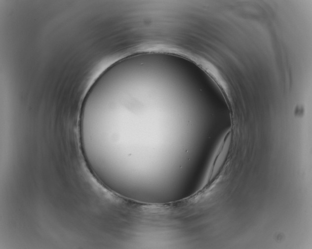 X0000091990863200709201446