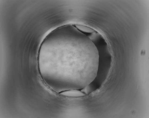 X0000091990864200709201446