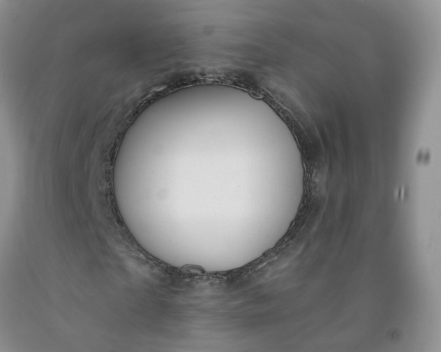 X0000091990865200709201445