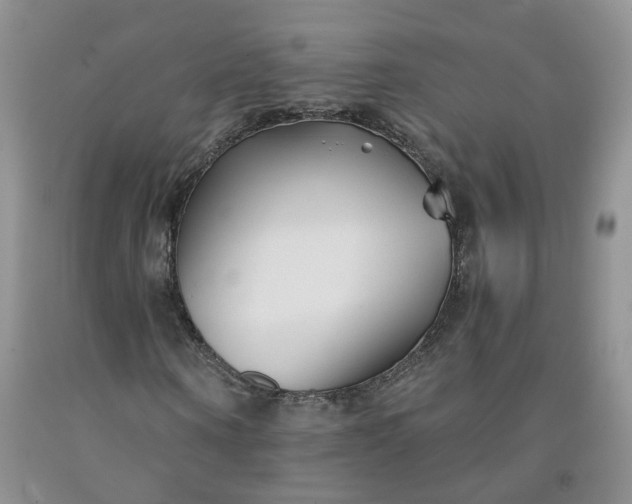 X0000091990866200709201445