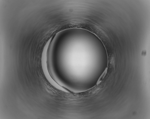 X0000091990868200709201445