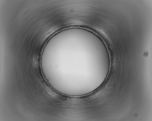 X0000091990873200709201445