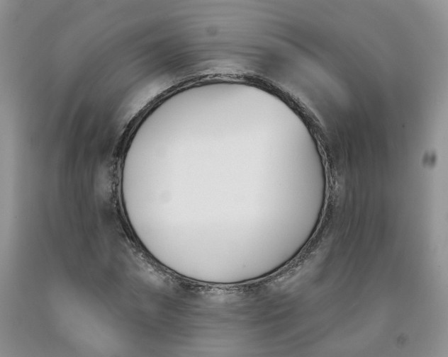 X0000091990874200709201445