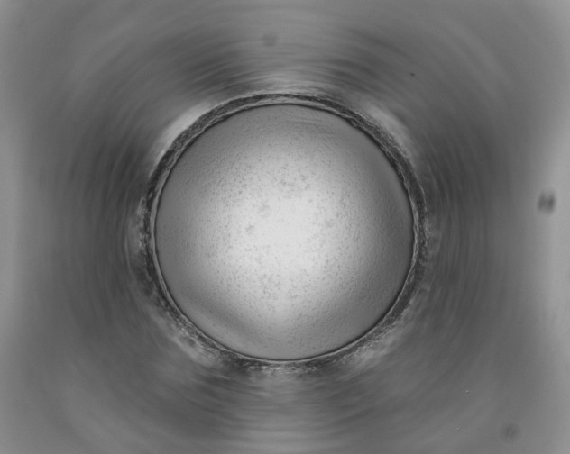 X0000091990875200709201445