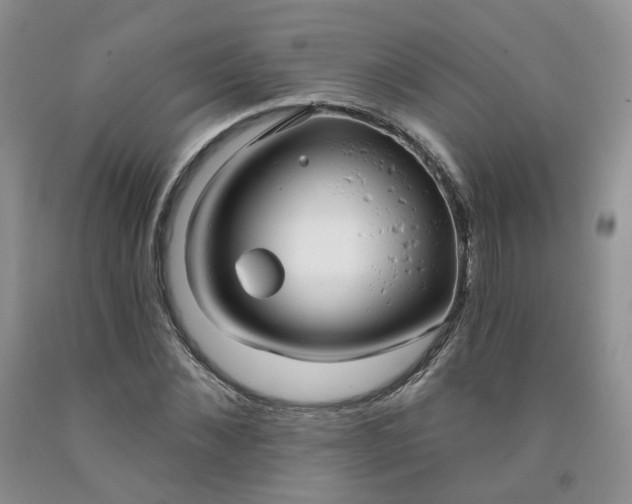 X0000091990876200709201445