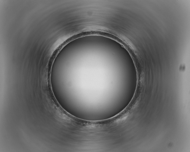 X0000091990877200709201445