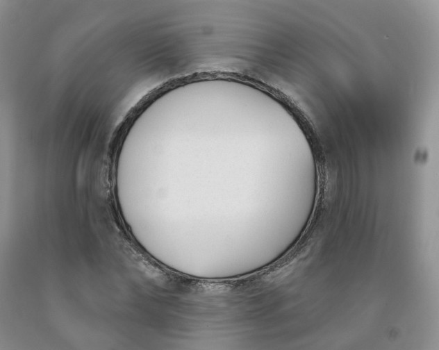 X0000091990878200709201445