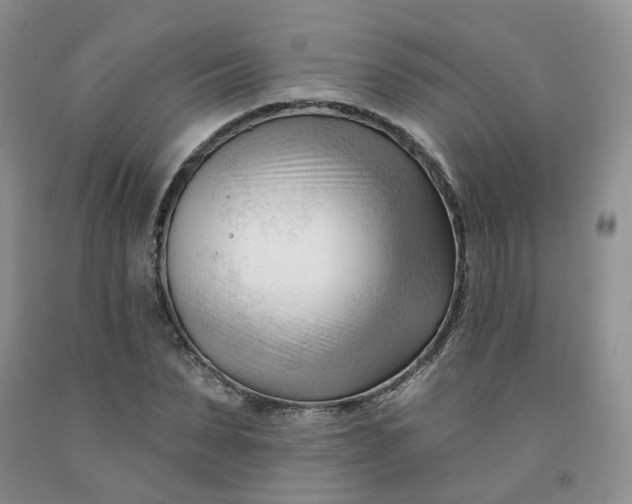 X0000091990879200709201445