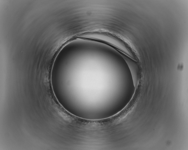 X0000091990881200709201445