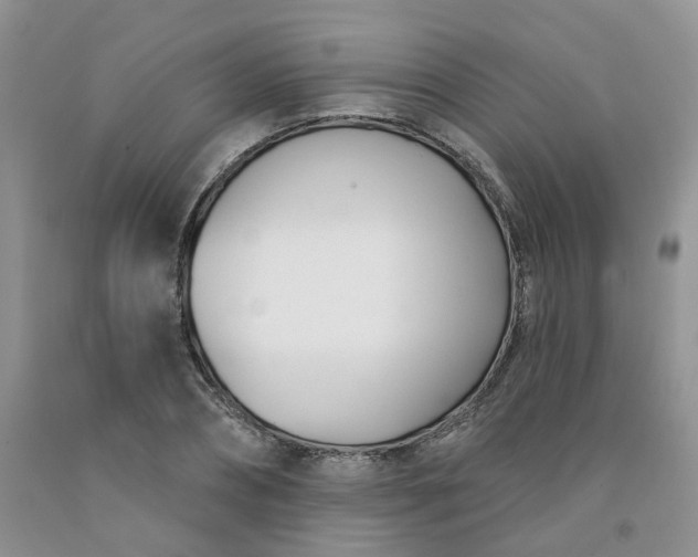 X0000091990882200709201445