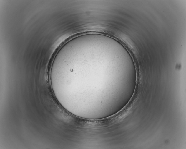 X0000091990883200709201445