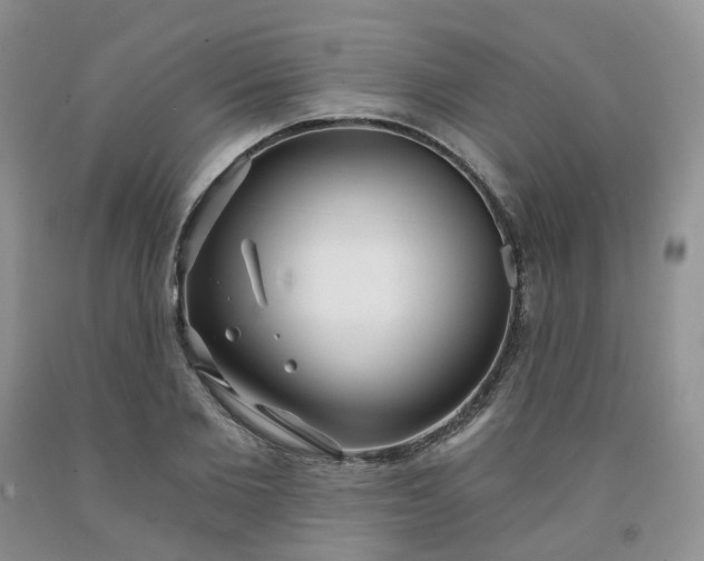 X0000091990885200709201445
