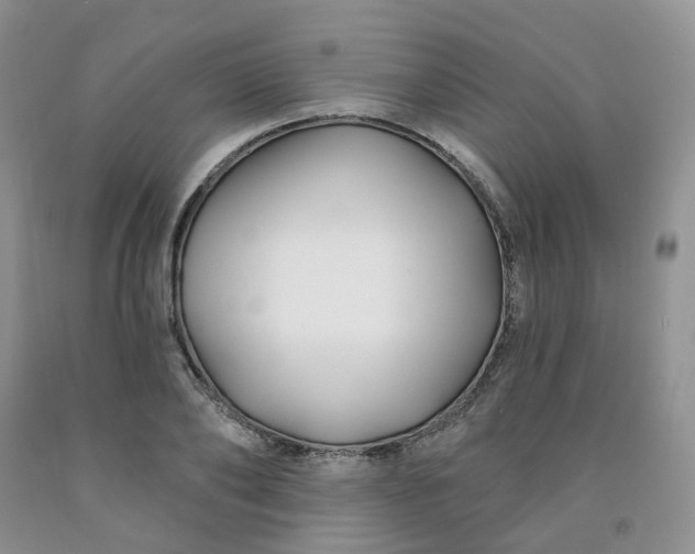 X0000091990886200709201445