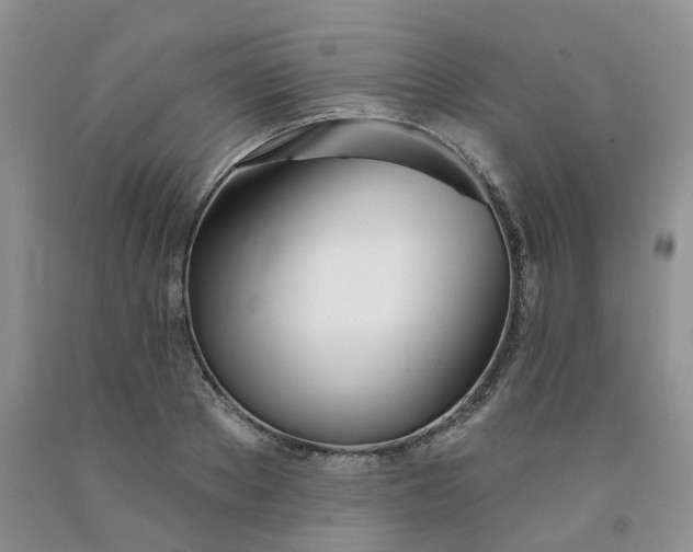 X0000091990889200709201445