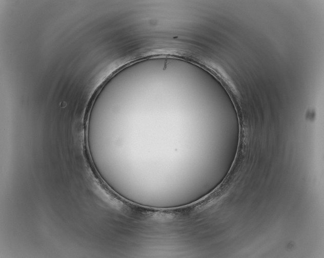 X0000091990890200709201445