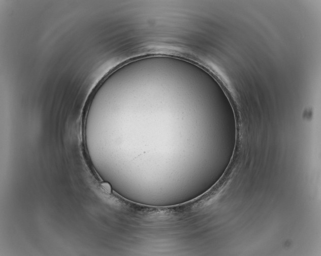X0000091990891200709201445