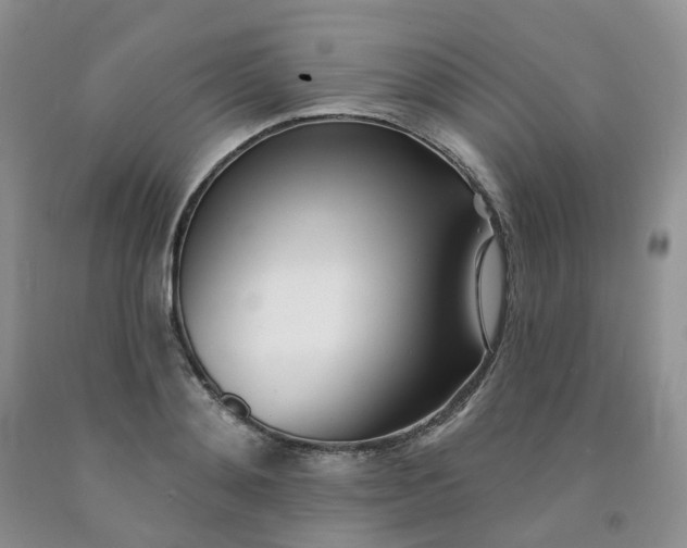 X0000091990892200709201445