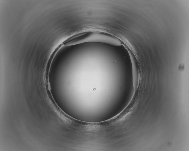 X0000091990893200709201445