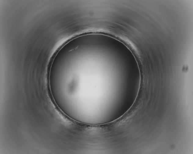 X0000091990894200709201445