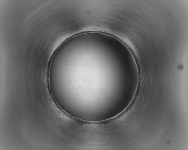 X0000091990896200709201445