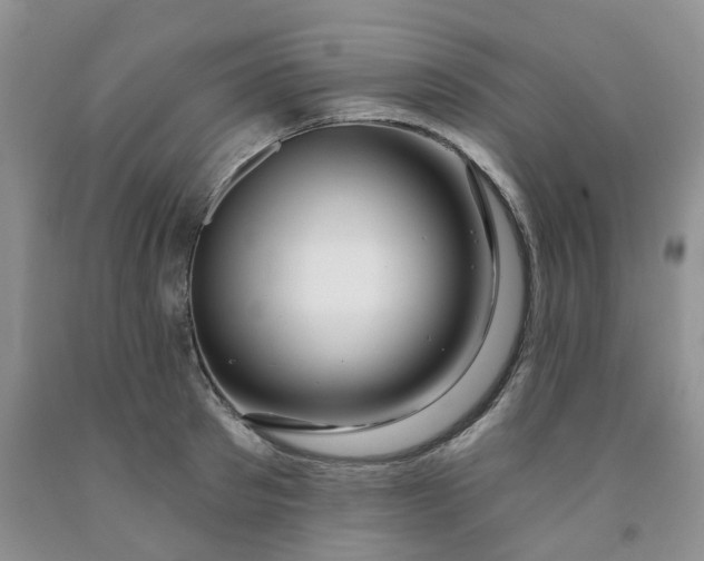 X0000091990897200709201445