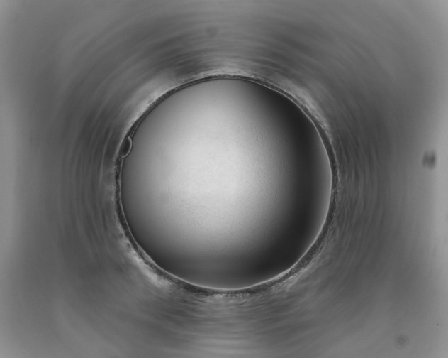 X0000091990898200709201445