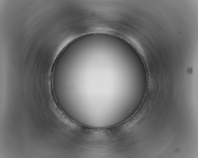 X0000091990899200709201445